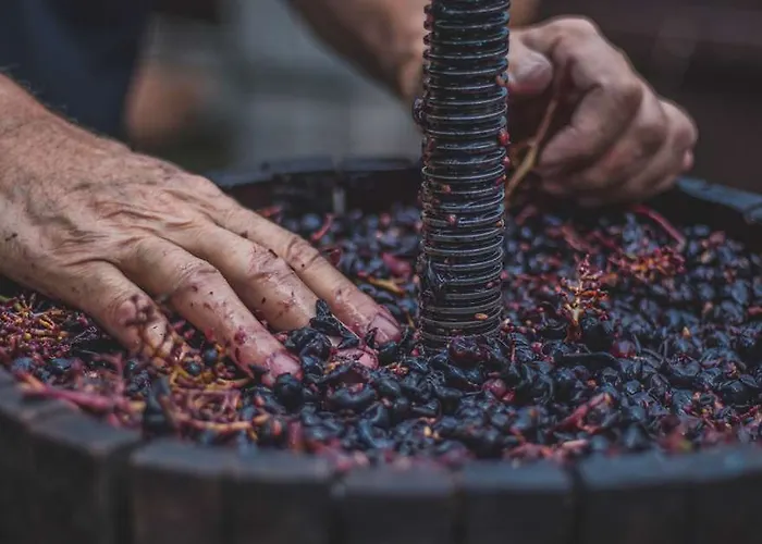 Hotel Kyriad Direct Bordeaux Est Lormont